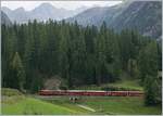 Zwei RhB Ge 4/4 I ziehen eine langen Alula Schnellzug bei Bergün Richtung St.Moritz.
11. Sept. 2016