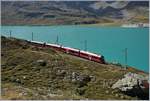 RhB/675247/ein-rhb-allegra-mit-einem-regionalzug Ein RhB 'Allegra' mit einem Regionalzug nach St.Moritz am Lago Bianco kurz nach Bernina Hospiz.

13. Sept. 2016