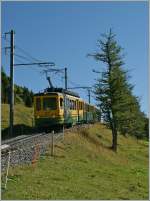 Ein WAB Regionalzug auf der Fahrt Richtung Lauterbrunnen kurz nach der Abfahrt auf der kleinen Scheidegg. 21. Aug. 2013