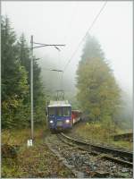 zb-zentralbahn/100518/auch-schlechtes-wetter-macht-hin-und Auch 'schlechtes Wetter' macht hin und wieder ein gutes oder zumindest interessantes Bild... 
IR (!)3669 von Engelberg nach Luzern bei Grnenwald am 18. Oktober 2010.

