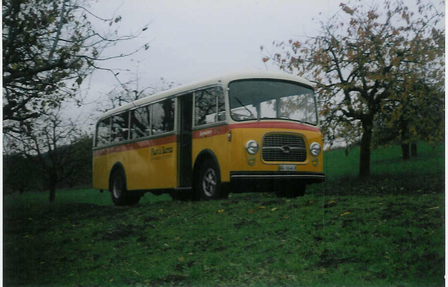 (015'706) - Flori, Wohlen - AG 36'463 - Berna/BBO (ex Merzaghi, Maroggia) am 20. Oktober 1996 zwischen Oltingen und Zeglingen