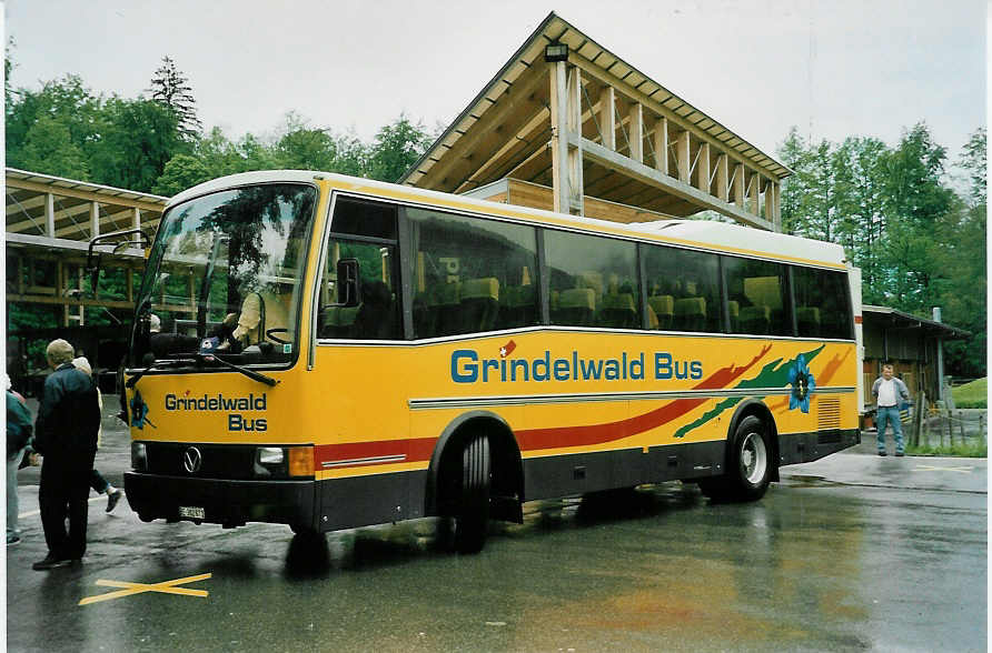 (047'118) - AVG Grindelwald - Nr. 18/BE 382'871 - Vetter am 10. Juni 2001 in Ballenberg, West