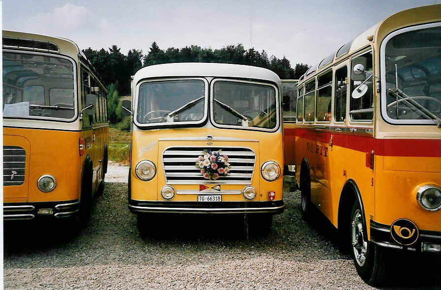 (055'701) - Rellstab, Diessenhofen - TG 66'318 - Berna/BBO (ex Galeppi, Dalpe) am 31. August 2002 in Niederbipp, Saurertreffen