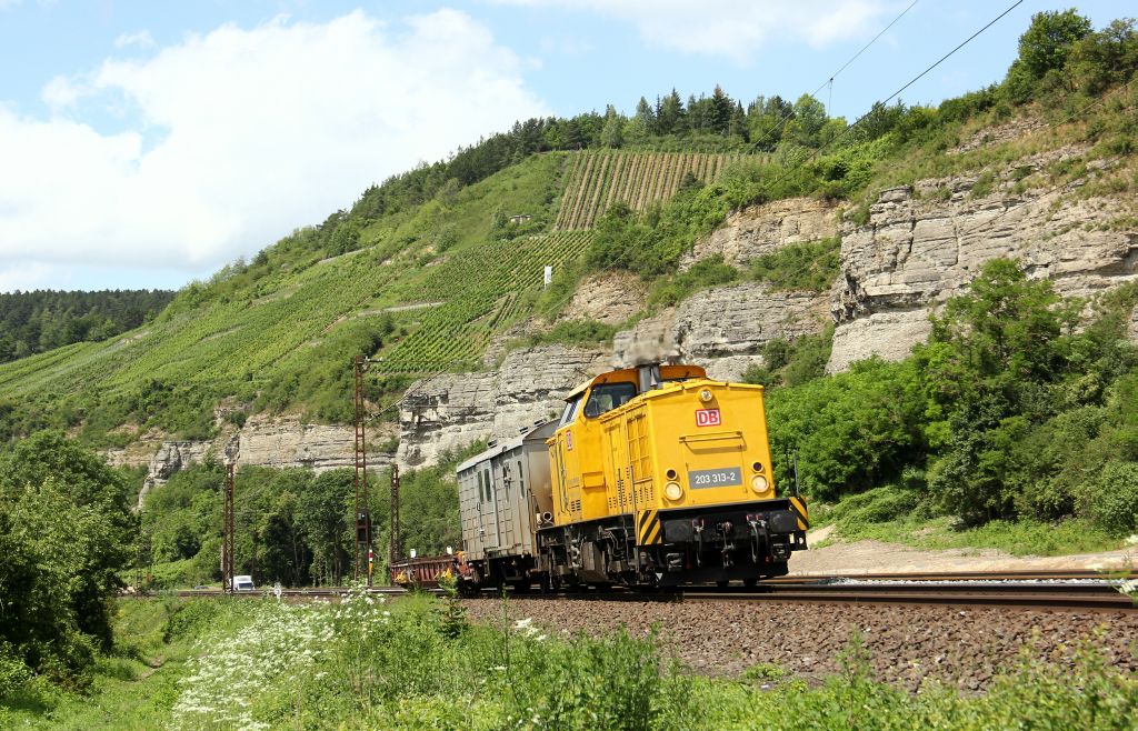 203 313-2 dieselte mit 2 Wagen am Haken durch das Maintal bei Himmelstadt am 22.6.12.