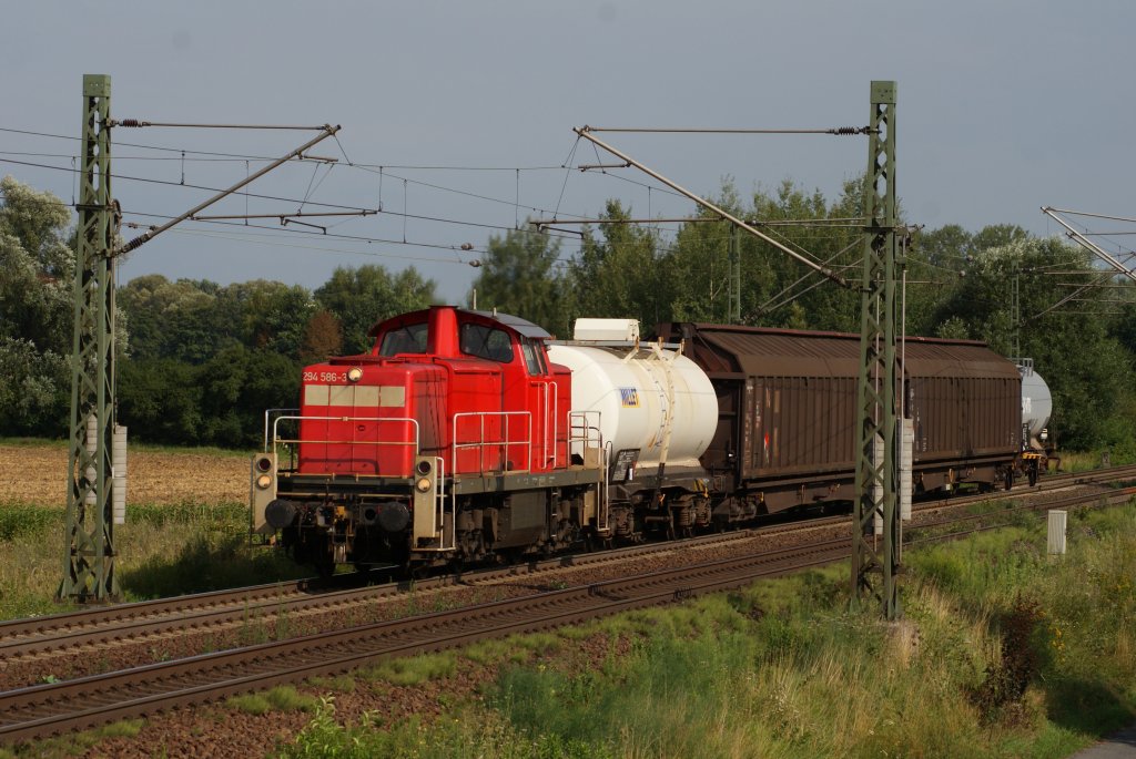 294 586-3 mit einer kurzen bergabe nach Mainz-Bischofsheim in Nauheim am 03.08.2010