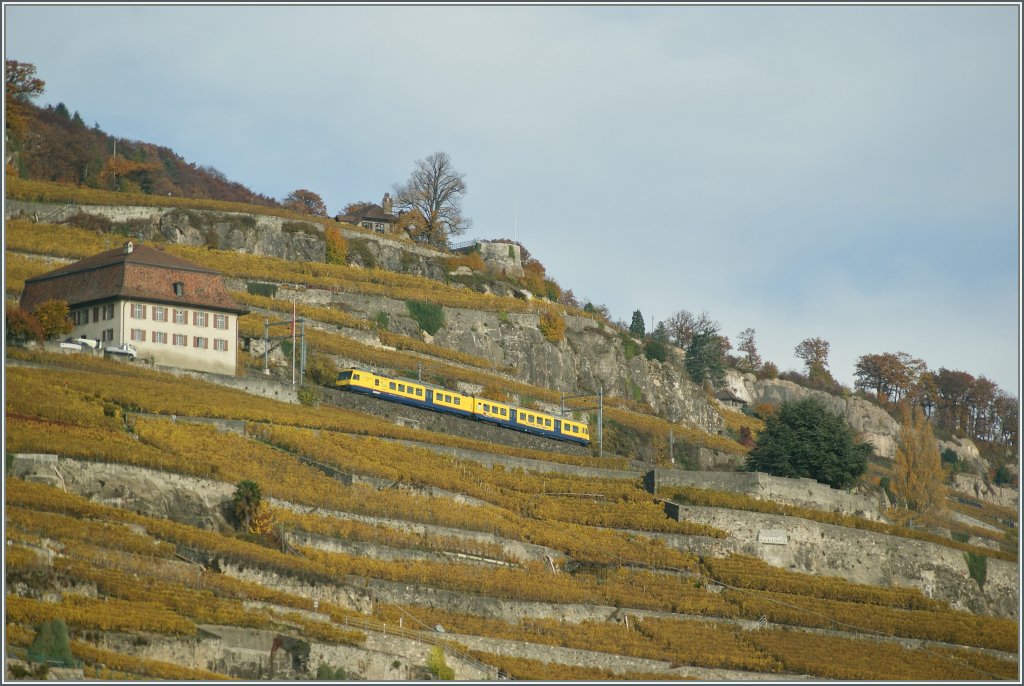 Der  Train des Vignes  auf der 38 o/oo Steigung zwischen Vevey und Chexbres Village am 4. Nov. 2010