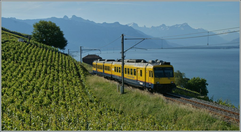 Der Train des Vignes auf der Fahrt nach Vevey bei Chexbres am 29. Mai 2011.