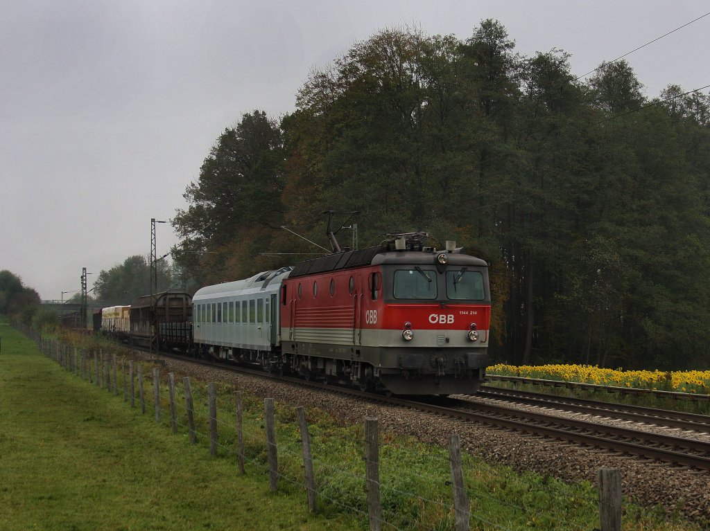 Die 1144 214 am 14.10.2010 mit einem Gterzug unterwegs bei Grokarolinenfeld. (B Vogl)
