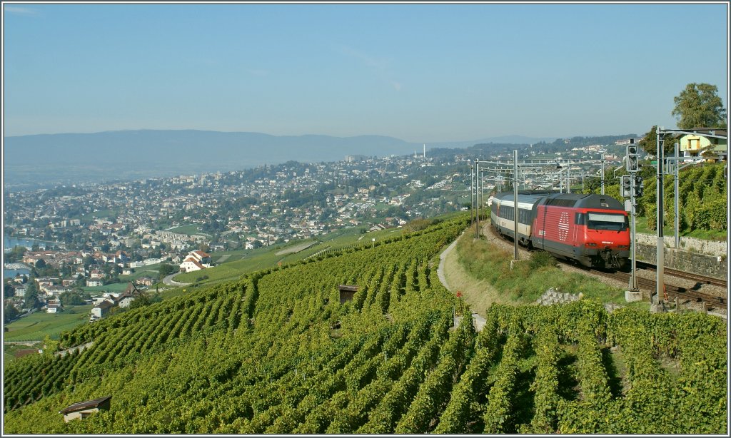 Die Re 460 029-2 schiebt ihren IR von Luzern Richtung Genve, hier kurz nach Grandvaux am 3. Oktober 2010.
