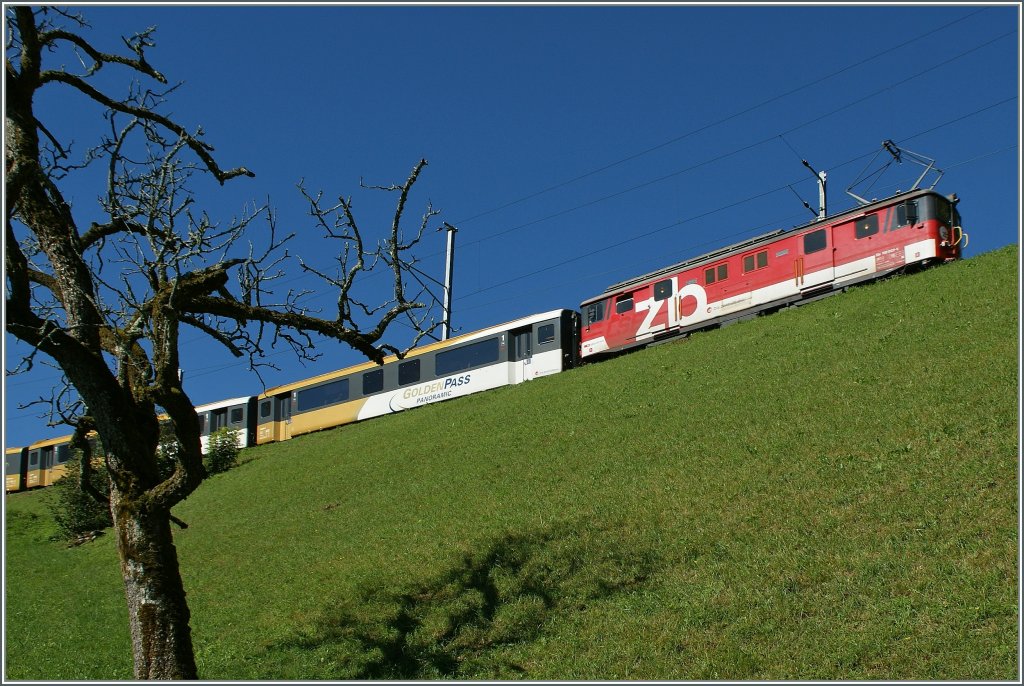 Ein  zb  Goldenpass-IR auf der Fahrt von Interlaken nach Luzern kurz nach Oberreid. 
27. Aug. 2012