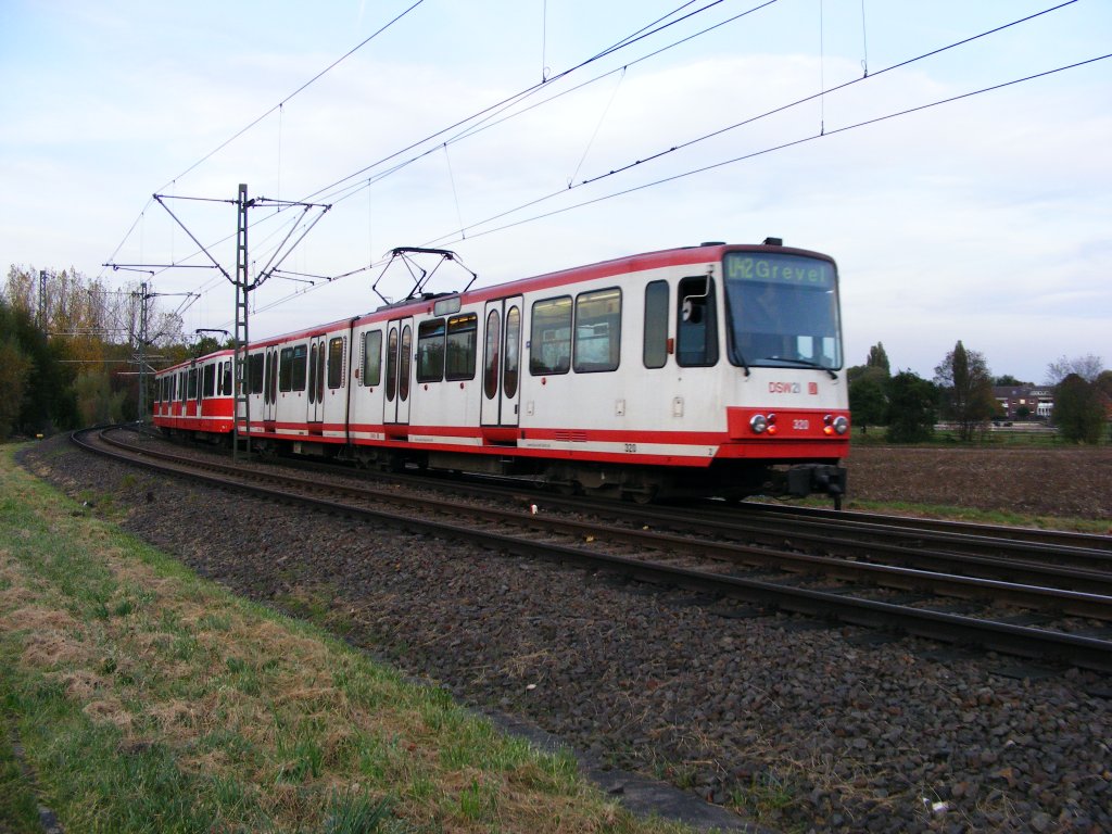 Eine Doppeltraktion aus Stadtbahnwagen B der Dortmunder Stadtwerke ist am frhen Abend des 14. Oktober 2008 zwischen Scharnhorst und Grevel unterwegs.