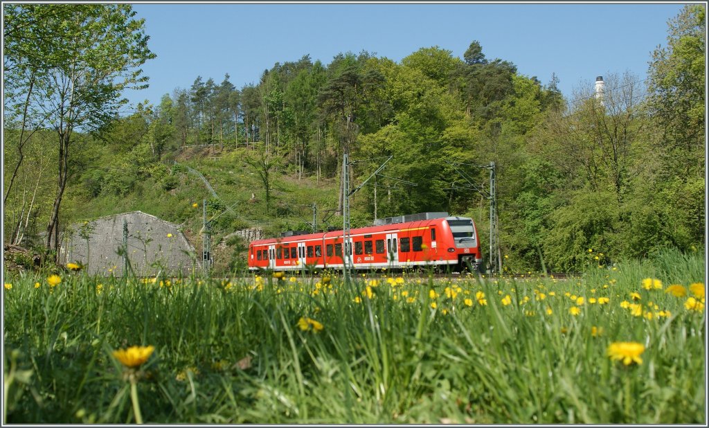 Mitten im bunten Frhling am Rande der Schweiz: der Quitschie 426 019-5 nach Singen kurz vor Thayngen am 22. April 2011.
