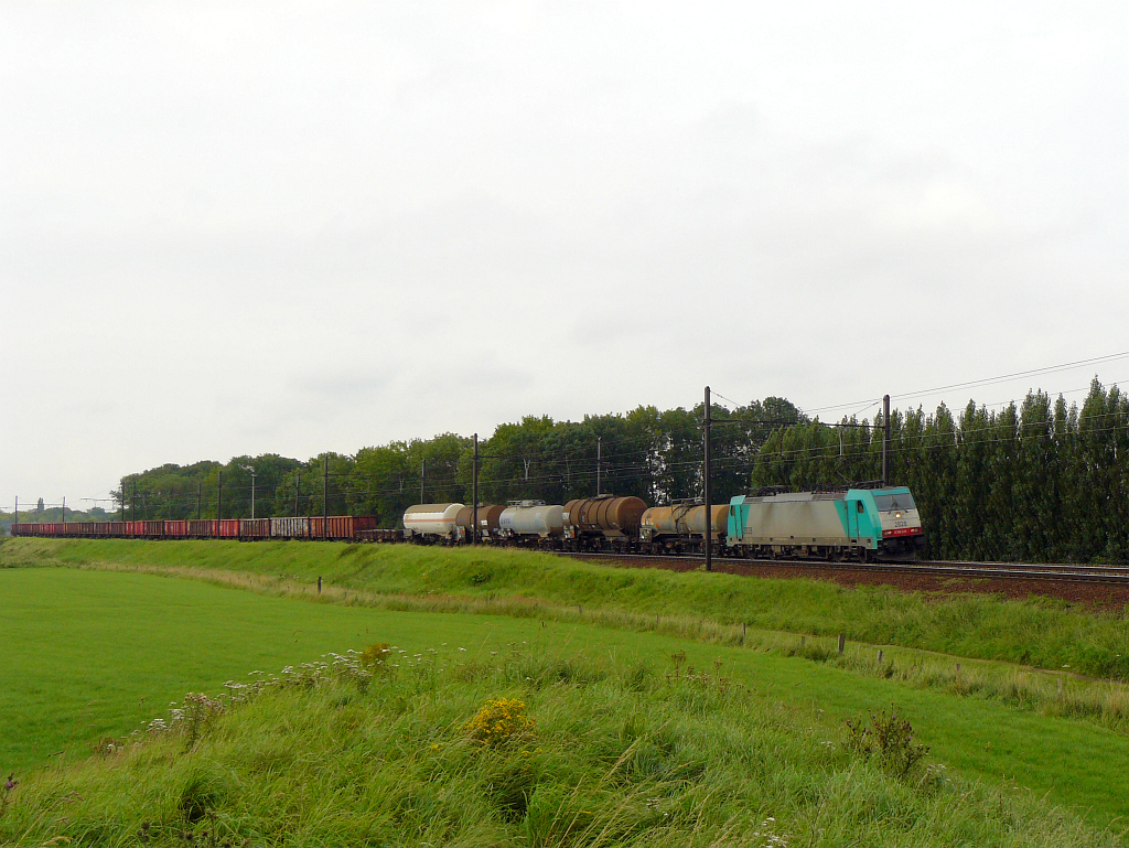 NMBS Lok 2828 mit Gterzug in Ekeren bei Antwerpen am 12-08-2011.