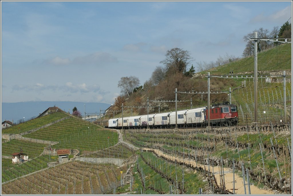 Re 4/4 II 11242 mit einem Gterzug im Lavaux zwischen Bossire und Grandvaux am 1. April 2011.