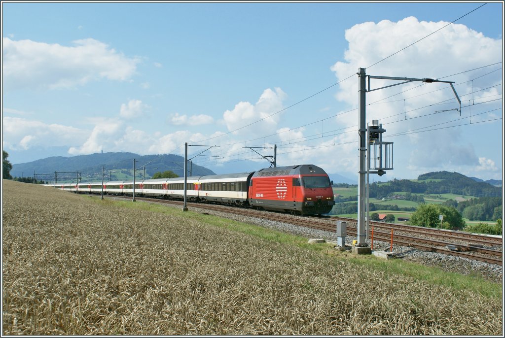 Re 460 mit einem IR nach Luzern bei Oron.
6. August 2010.