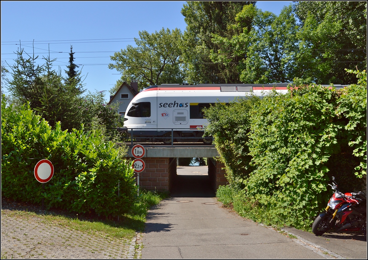 10 Jahre Seehas mit der SBB.

Ein Sommerbild mit Seehas. Allensbach, Juni 2015.