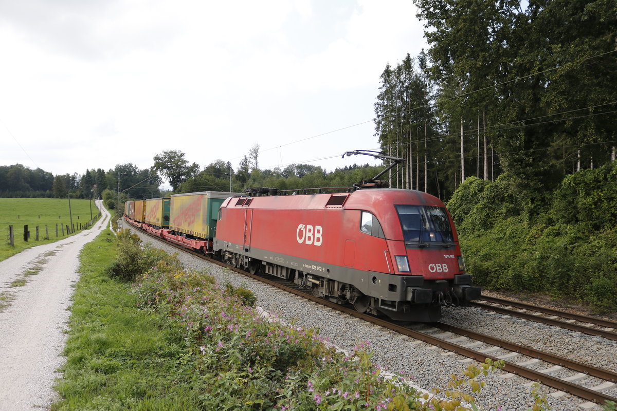 1016 002 mit dem  Notheggerzug  am 5. September 2018 bei Grabensttt.