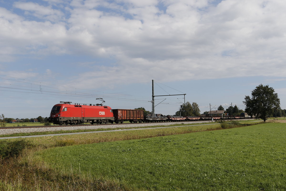 1016 013 mit einem gemischten Gterzug am 19. September 2018 bei bersee.