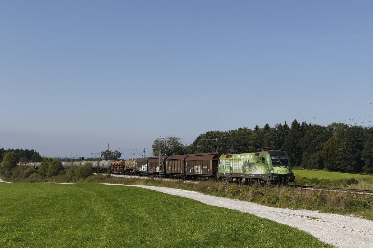 1016 020  Klimaschutz  mit einem gemischten Gterzug auf dem Weg nach Salzburg am 16. September 2018 bei Grabensttt.