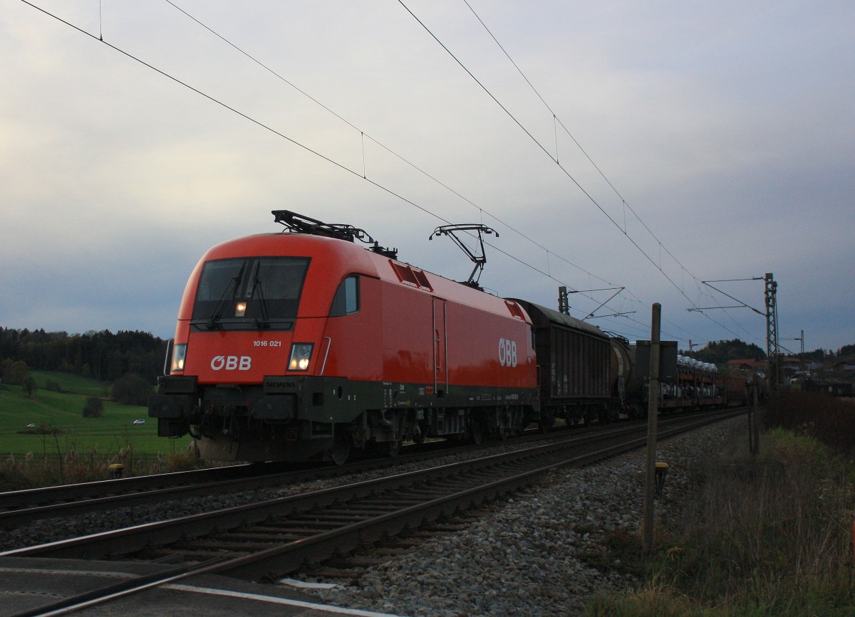 1016 021-5 ist am 8. November 2013 mit einem Güterzug bei Weisham in Richtung Salzburg unterwegs.