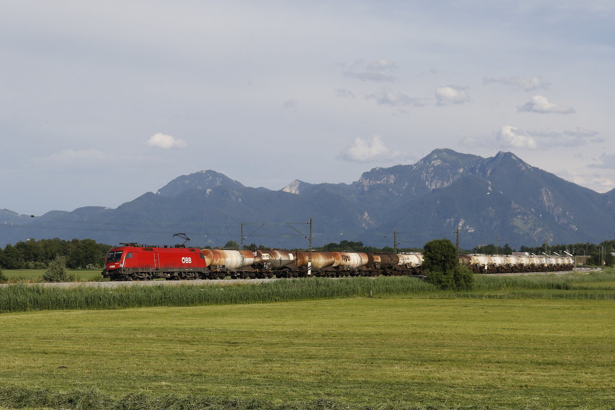 1016 041 mit einem Kesselwagenzug aus Salzburg kommend am 19. Juni 2019.