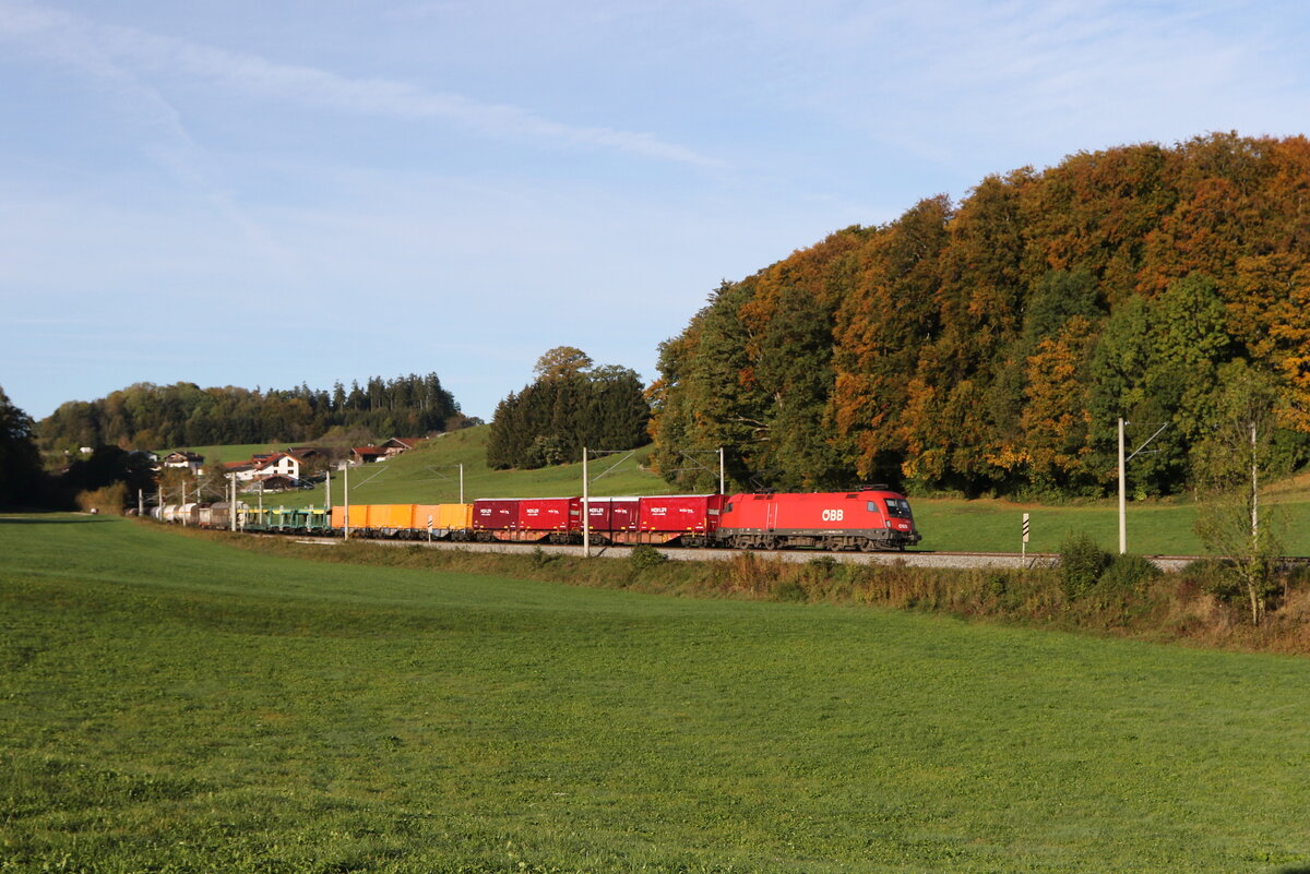 1116 096 war am 12. Oktober 2024 mit einem gemischten Gterzug bei Axdorf in Richtung Salzburg unterwegs.