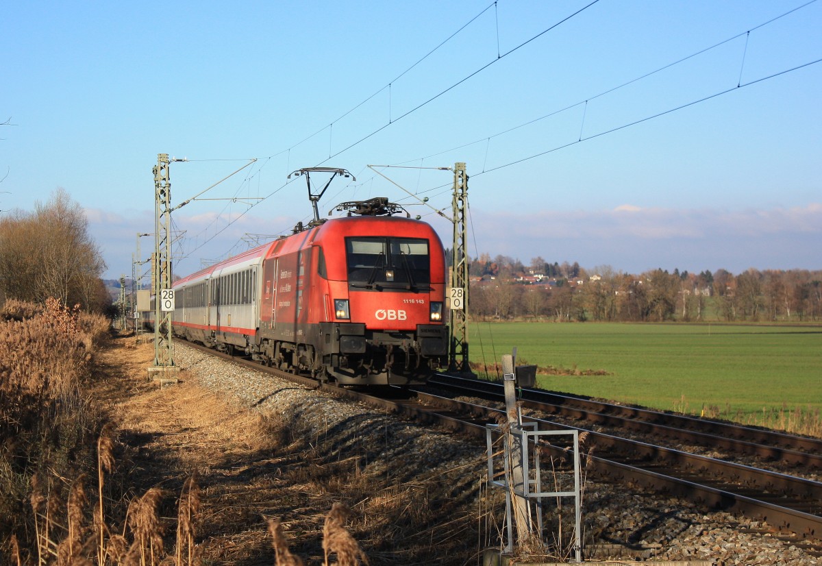 1116 143  RCA Montan Sped Lok  war am 2. Dezember 2013 der dritte  Werbe-Ochse  innerhalb von 30 Minuten der mir, in der Nähe von Bernau am Chiemsee, vor die Linse fuhr.