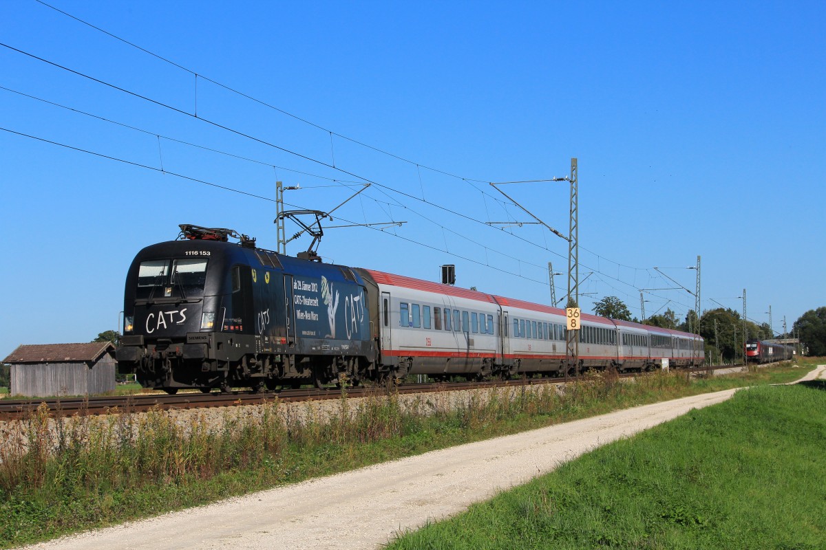 1116 153 der  Cats -Taurus am 3. Oktober 2012 aus Salzburg kommend bei Übersee am Chiemsee.