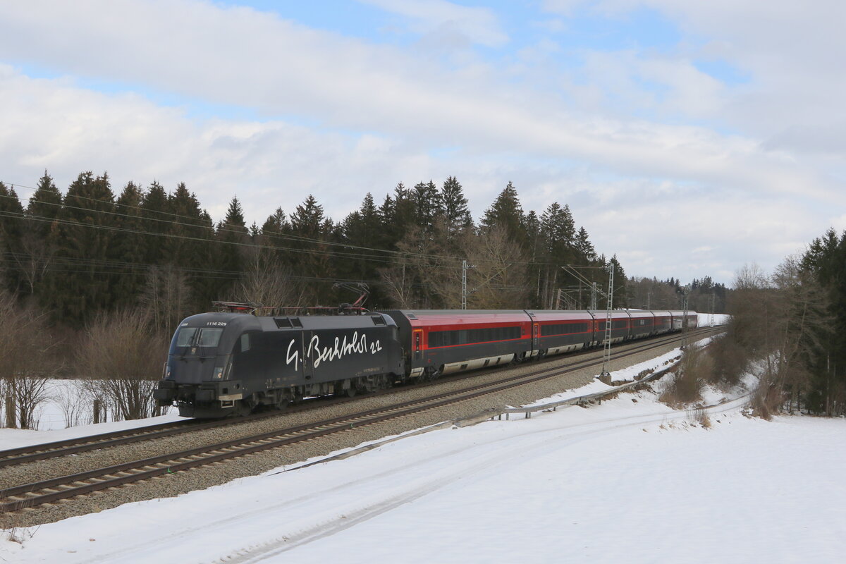 1116 229  BECHTOLD  am 31. Januar 2023 bei Sossau im Chiemgau.