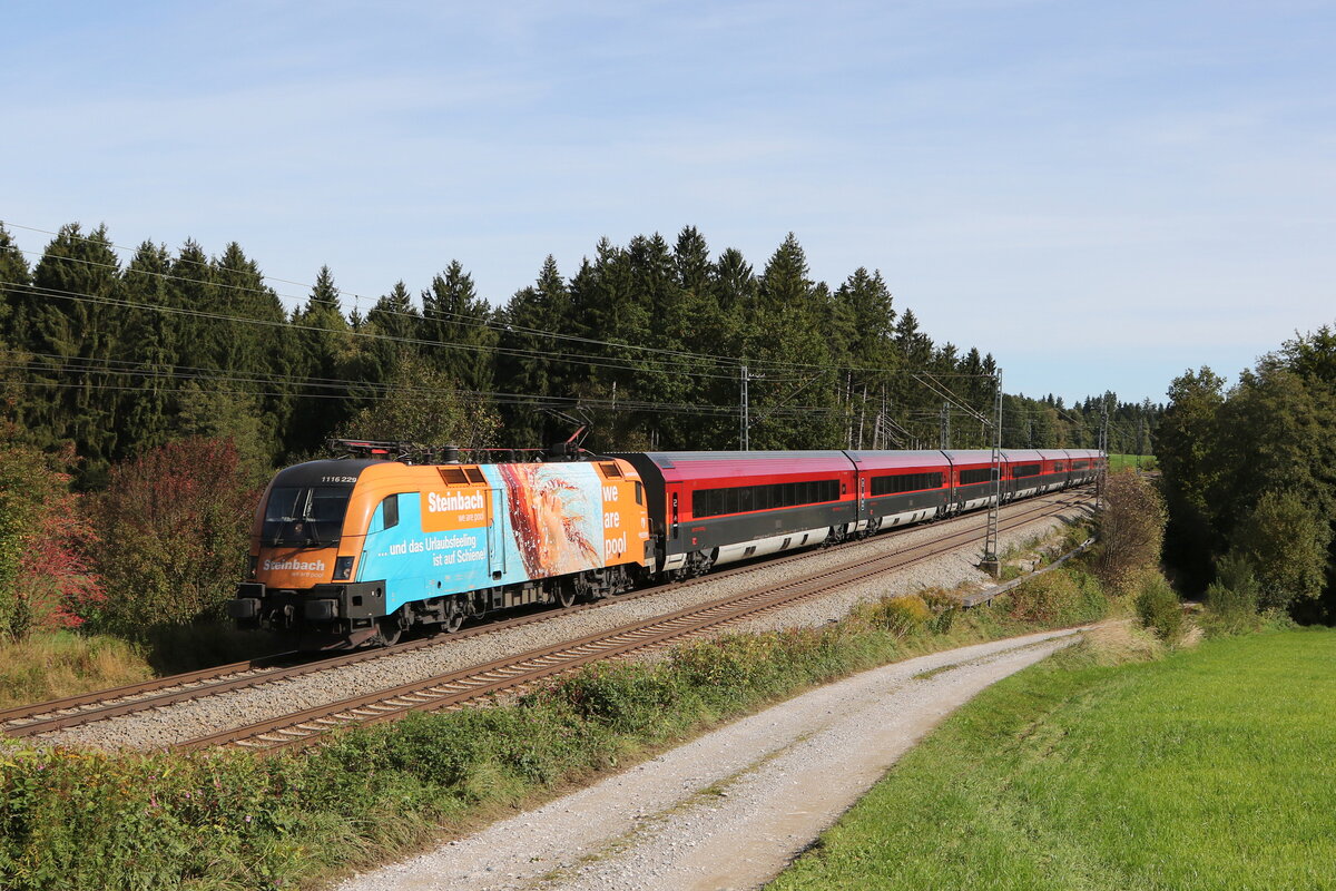 1116 229  Steinbach  unterwegs nach Mnchen. Aufgenommen am 1. Oktober 2021 bei Grabensttt im Chiemgau.