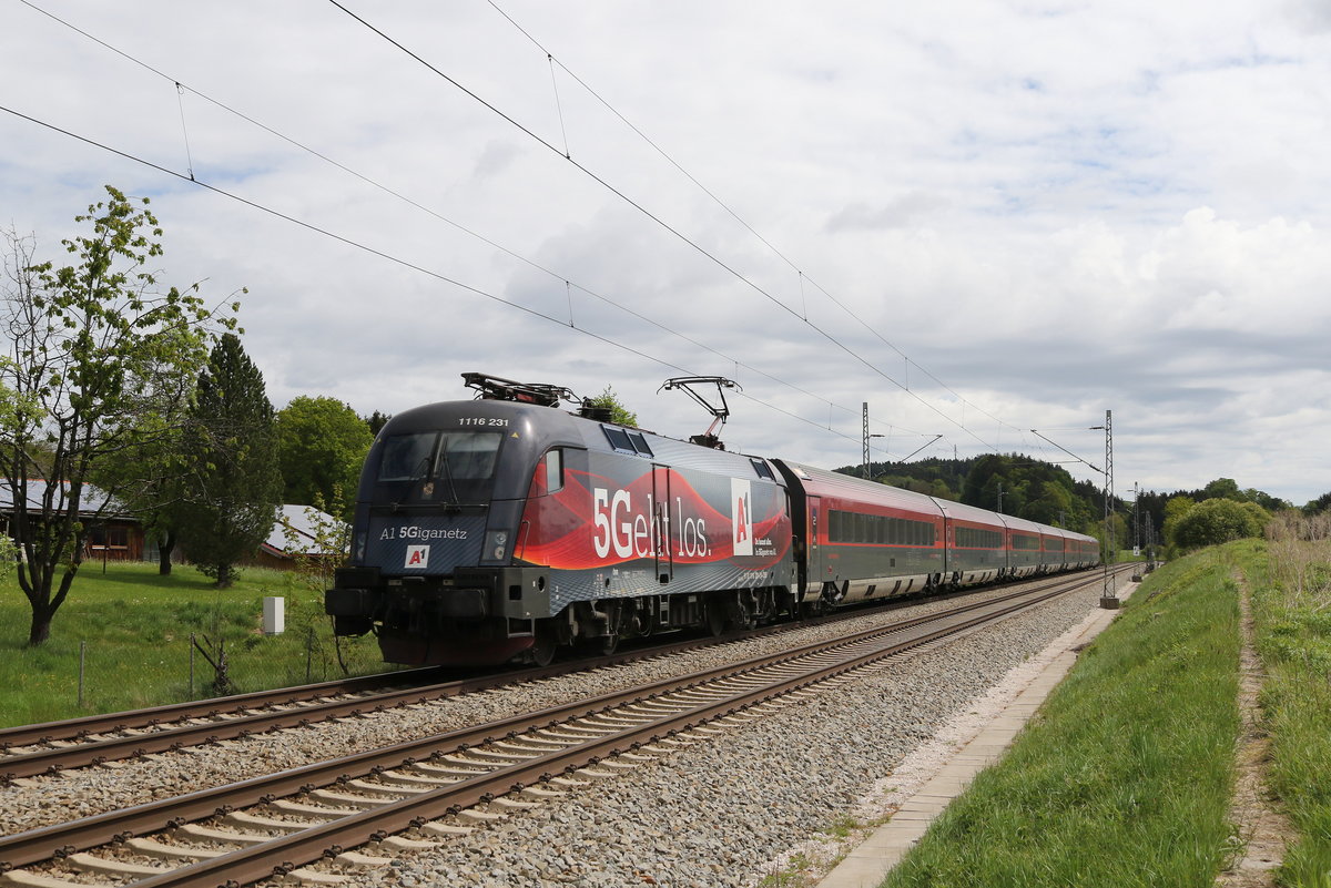 1116 231  5Geht los  am 4. Mai 2020 bei Grabensttt im Chiemgau.