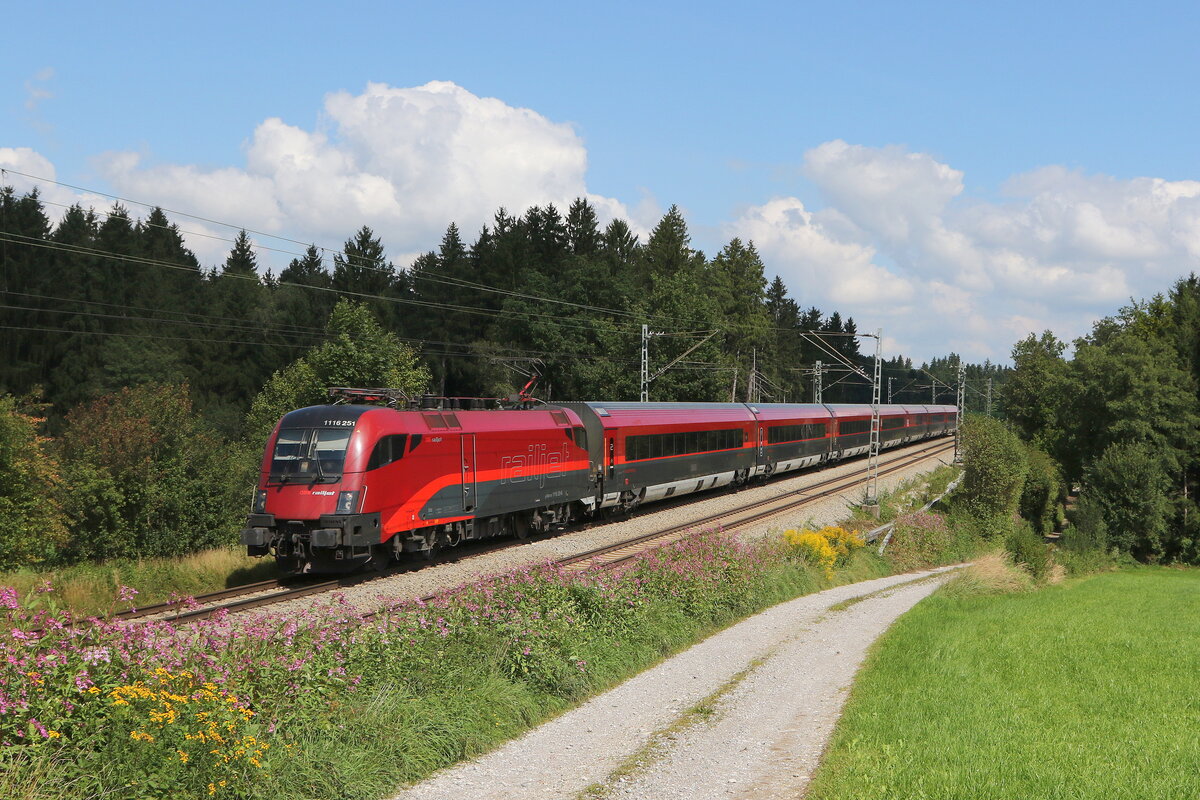 1116 251 am 1. September 2021 bei Grabensttt im Chiemgau.