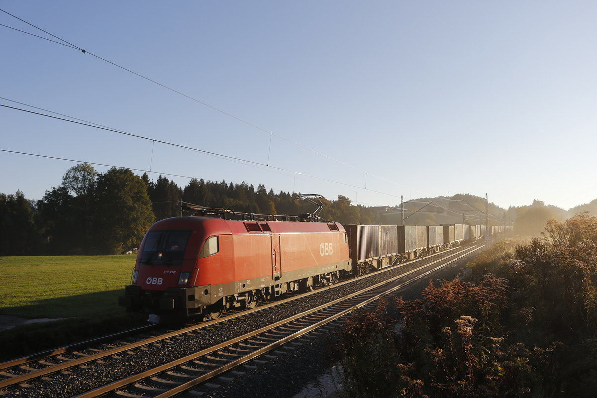 1116 252 mit einem Containerzug am morgen des 10. Oktober 2018 bei Grabensttt.