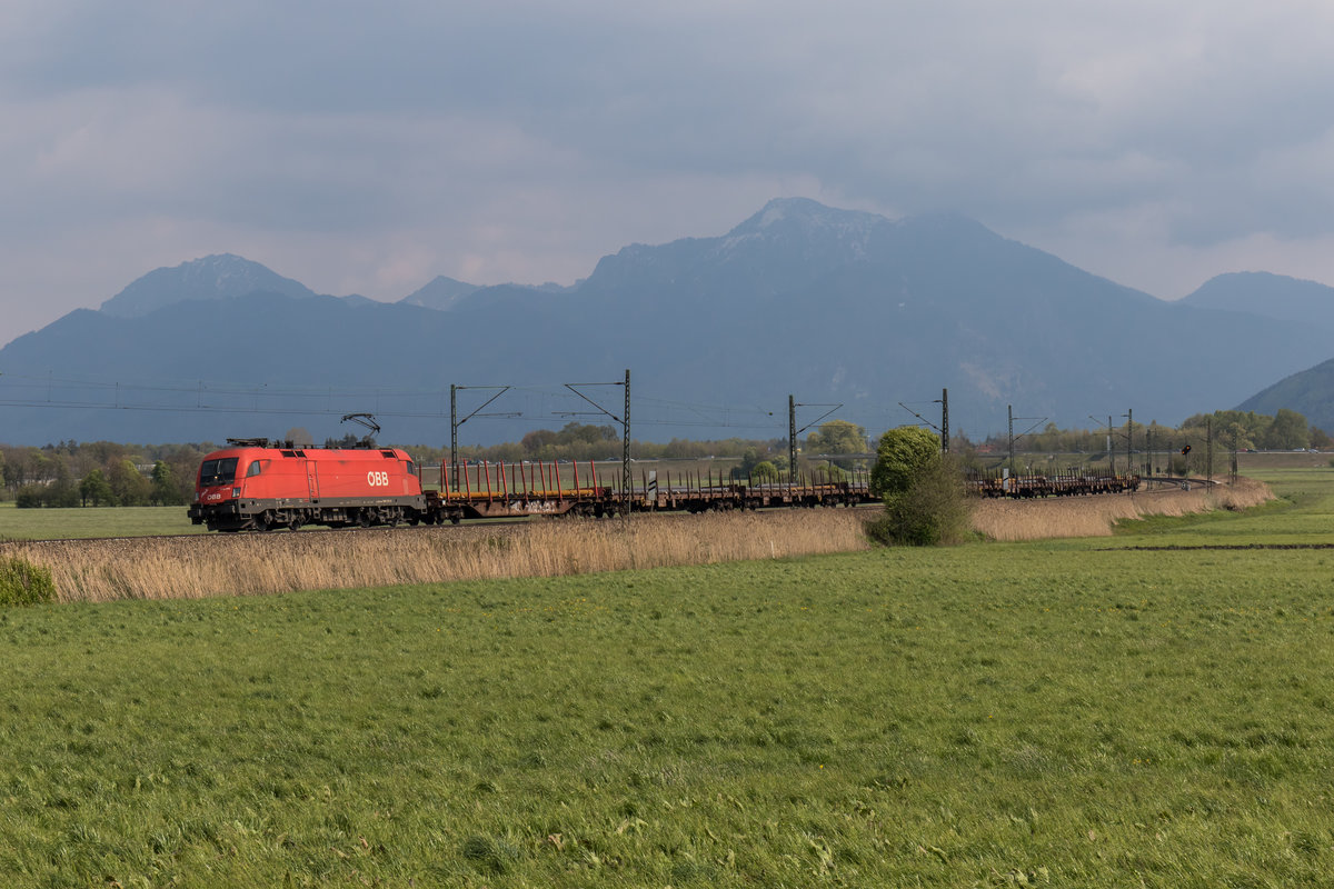 1116 275-9  Max  aus Freilassing kommend am 3. Mai 2016 bei Weisham.