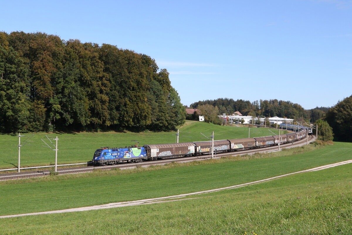 1116 276  EU-Taurus  mit dem  Papierzug  aus Salzburg kommend am 7. Oktober 2024 bei Axdorf.