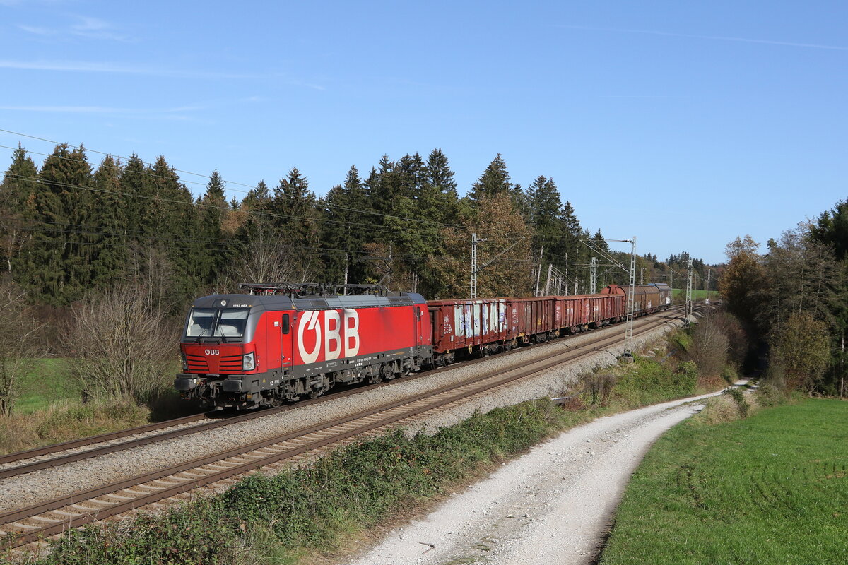 1293 003 mit einem gemischten Gterzug aus Freilassing kommend am 31. Oktober 2022 bei Grabensttt.