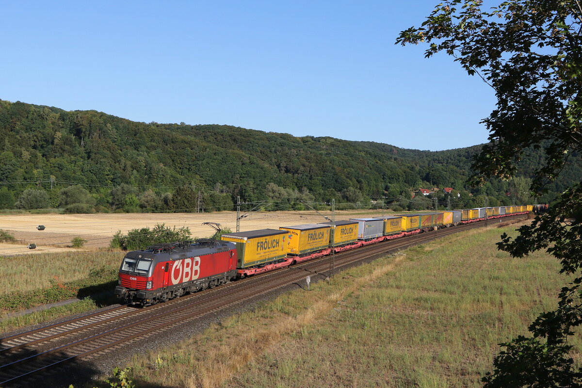 1293 035 mit dem  FRLICH-KLV  am 6. August 2022 bei Harrbach im Maintal.