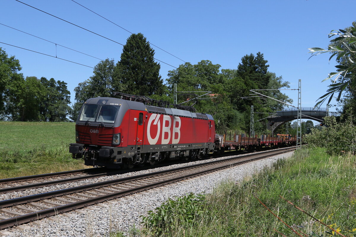 1293 039 mit einem gemischten Gterzug am 15. Juli 2023 bei bersee am Chiemsee.