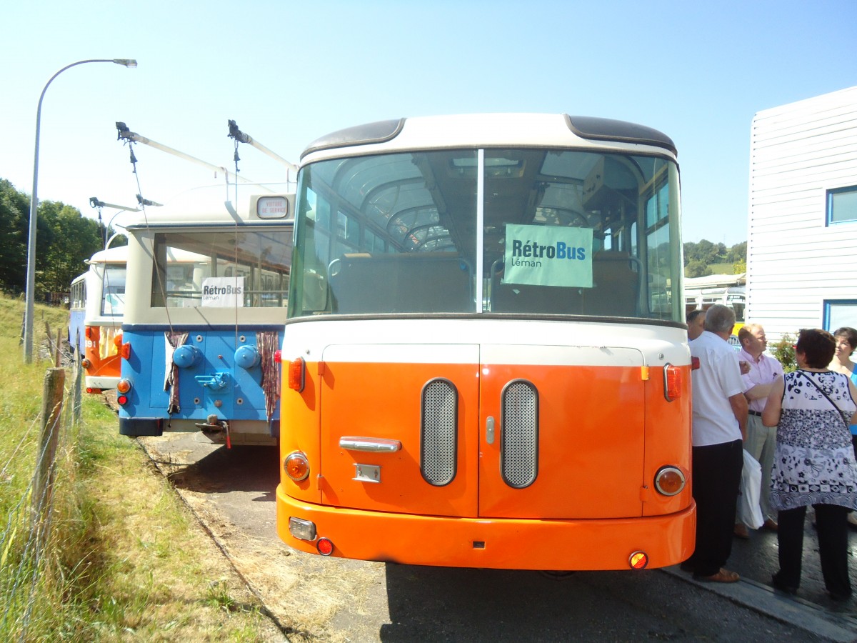 (135'621) - TL Lausanne (Rtrobus) - Nr. 239 - Saurer/Gangloff am 20. August 2011 in Moudon, Rtrobus