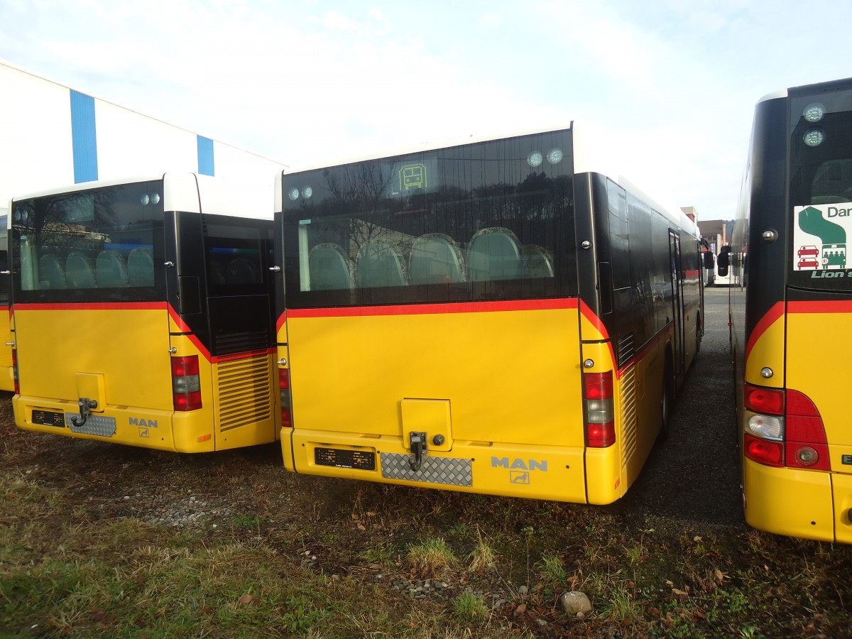 (148'395) - Steiner, Messen - MAN am 22. Dezember 2013 in Kloten, EvoBus