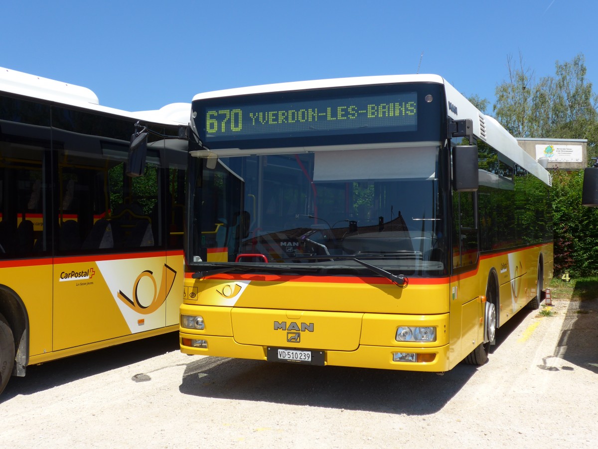 (151'740) - CarPostal Ouest - VD 510'239 - MAN (ex P 25'145) am 21. Juni 2014 in Yverdon, Garage