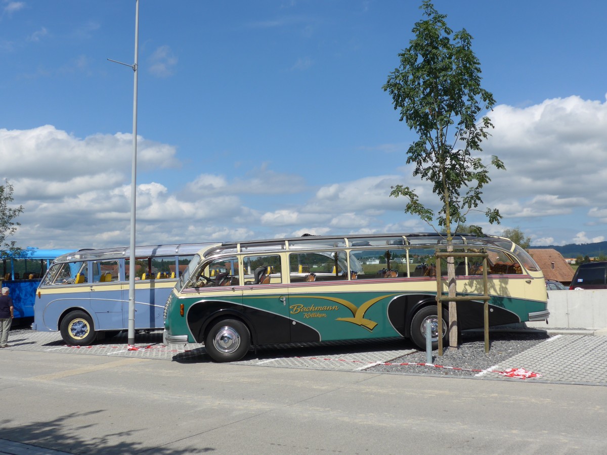 (154'590) - Bachmann, Klliken - AG 96'310 - Saurer/R&J (ex BSF Hochdorf; ex Wenger, Interlaken) am 30. August 2014 in Oberkirch, CAMPUS Sursee