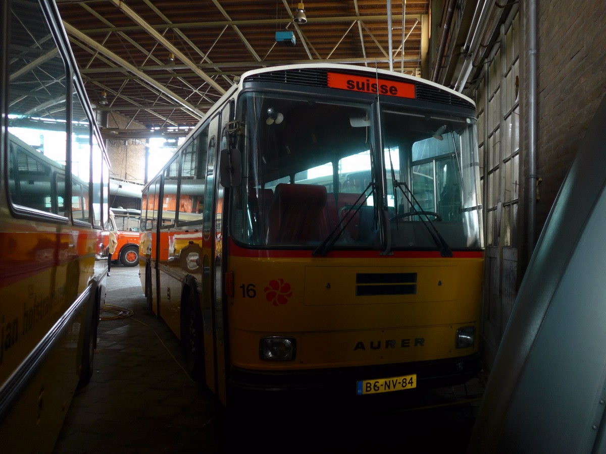 (156'918) - FRAM Drachten - Nr. 16/BG-NV-84 - Saurer/R&J (ex P 24'365) am 20. November 2014 in Drachten, Autobusmuseum