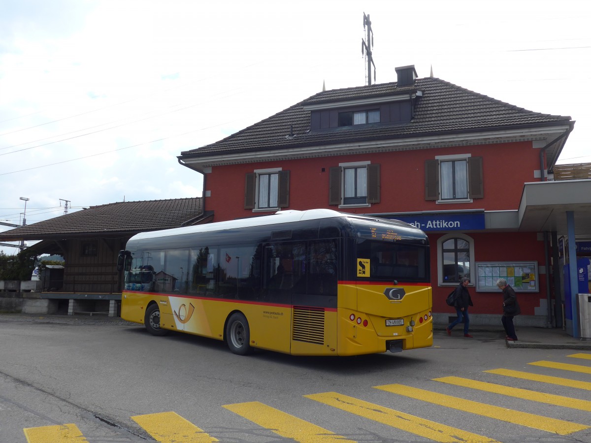 (159'442) - Moser, Flaach - Nr. 289/ZH 480'005 - Gppel am 27. Mrz 2015 beim Bahnhof Rickenbach-Attikon