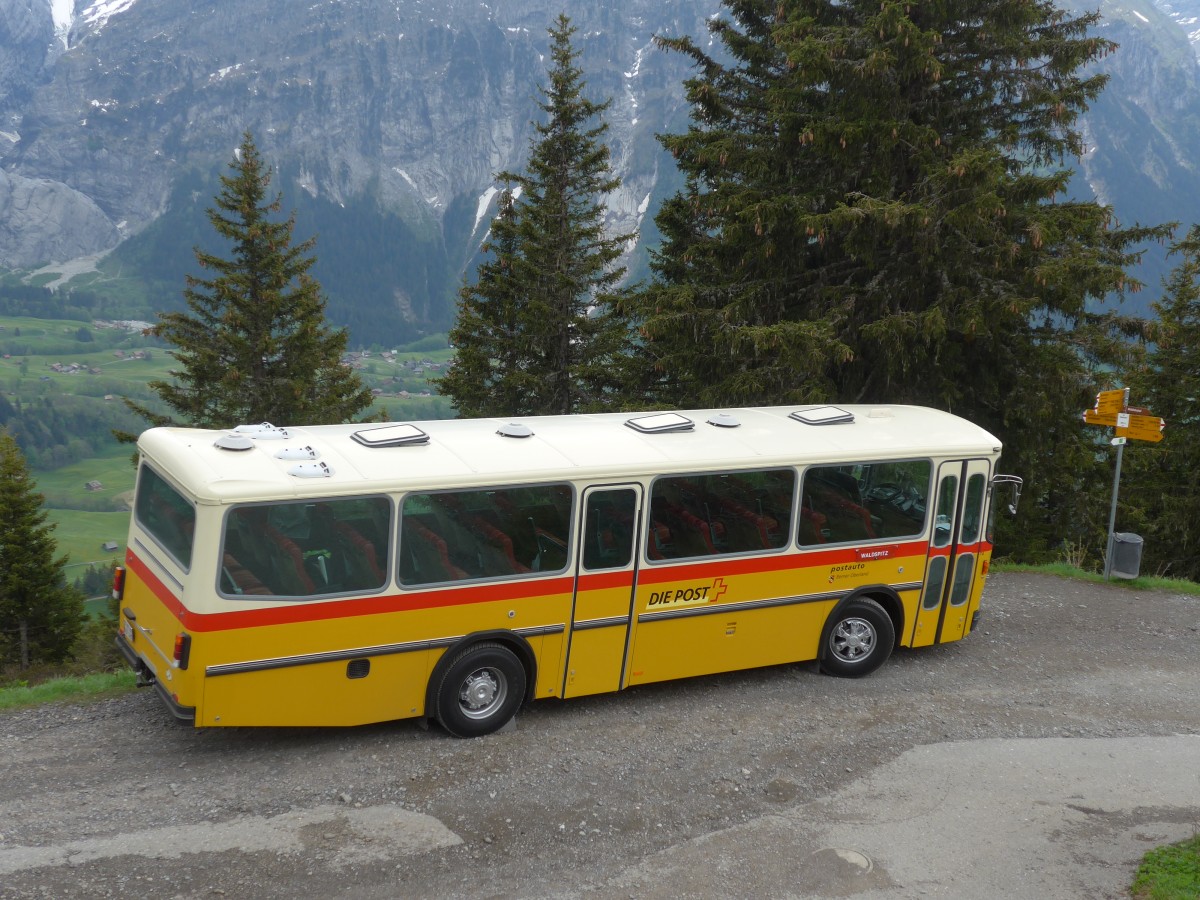 (161'046) - AVG Meiringen - Nr. 74/BE 607'481 - Saurer/R&J (ex PostAuto Berner Oberland; ex P 24'357) am 25. Mai 2015 in Grindelwald, Waldspitz