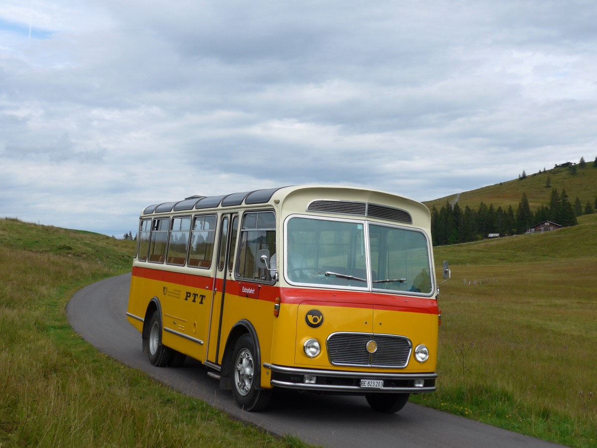 (163'839) - Rentsch, Gunten - BE 823'203 - FBW/Gangloff (ex P 23'203; ex P 21'003) am 23. August 2015 in Habkern, Lombachalp