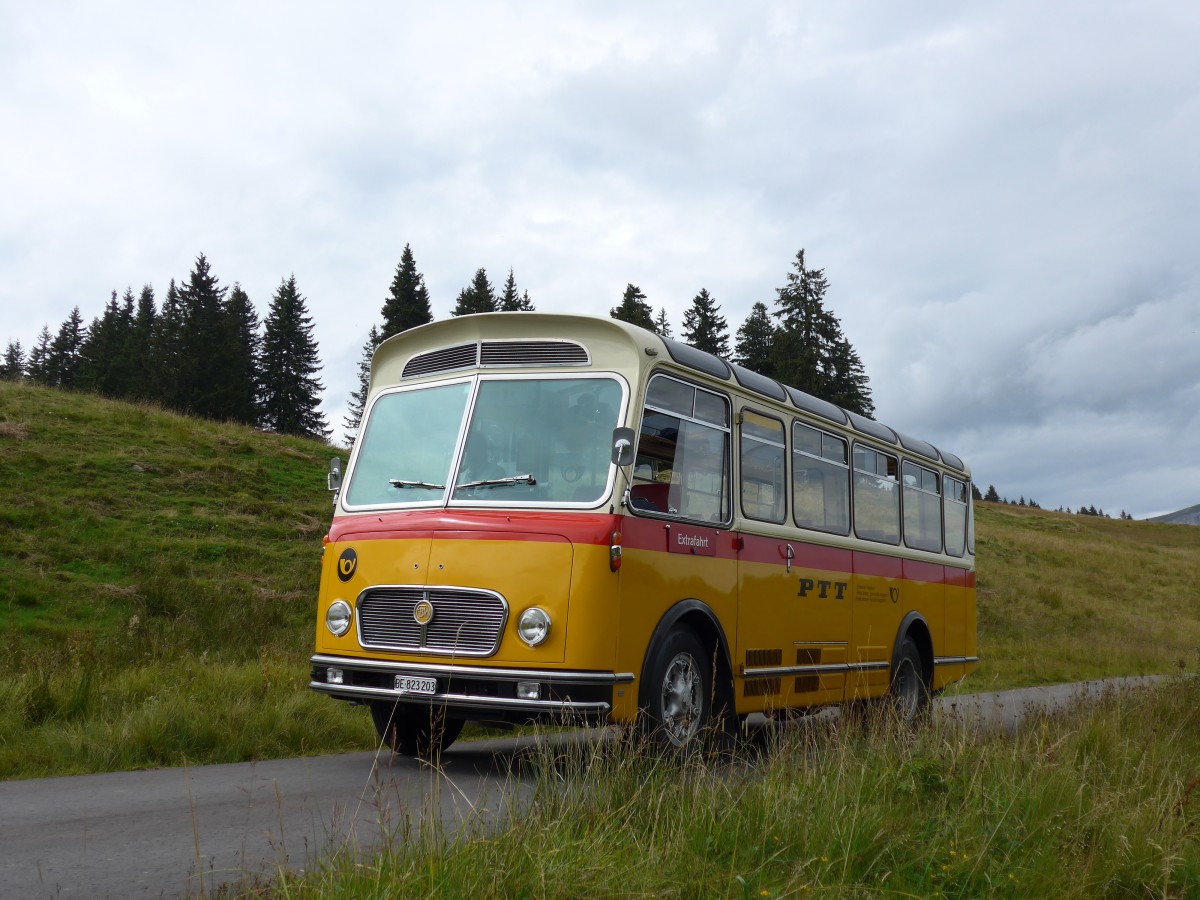 (163'842) - Rentsch, Gunten - BE 823'203 - FBW/Gangloff (ex P 23'203; ex P 21'003) am 23. August 2015 in Habkern, Lombachalp