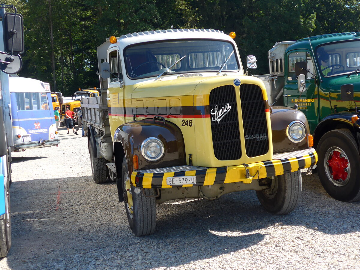 (164'054) - Ammeter, Emdthal - Nr. 246/BE 579 U - Saurer (ex STI Thun Nr. 246; ex STI Thun Nr. 146) am 29. August 2015 in Oberkirch, CAMPUS Sursee