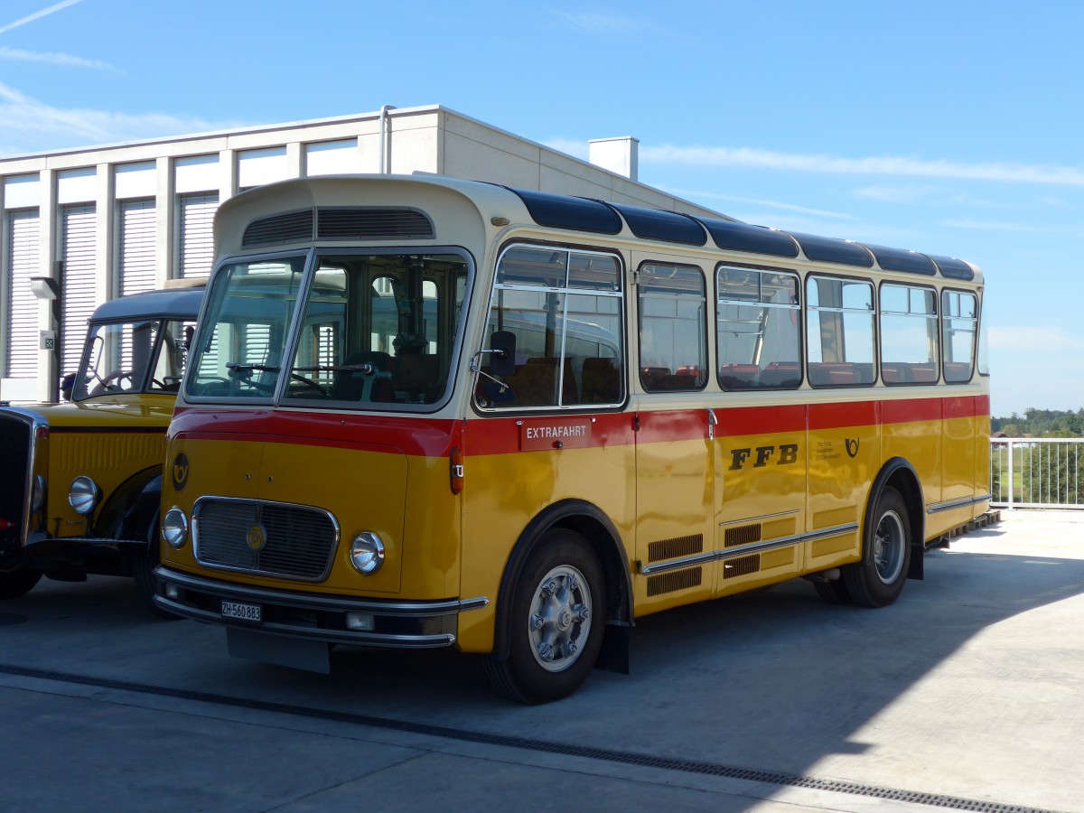 (164'206) - Frutig, Birmensdorf - ZH 560'883 - FBW/FHS (ex P 23'217) am 29. August 2015 in Oberkirch, CAMPUS Sursee