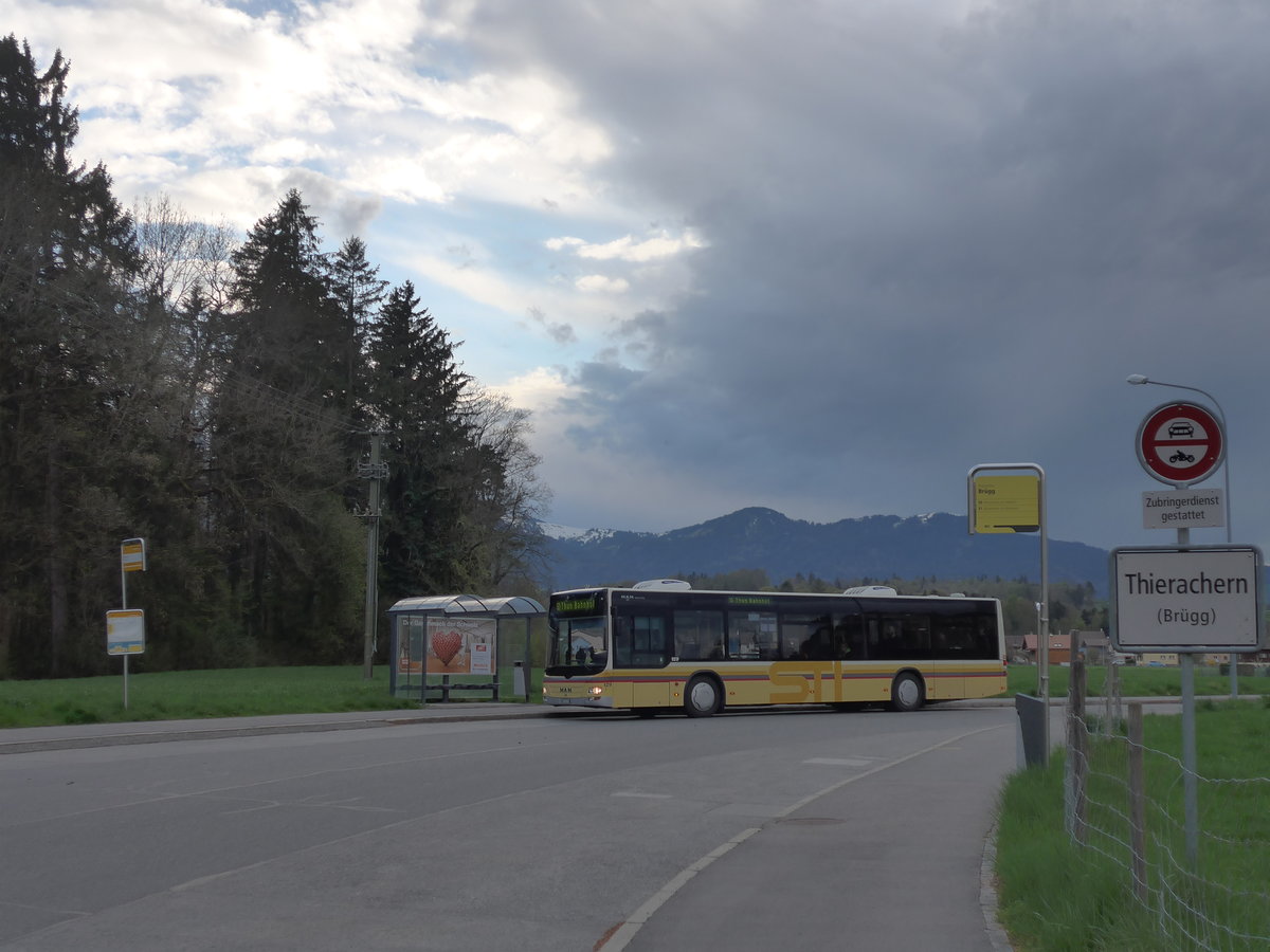 (170'144) - STI Thun - Nr. 129/BE 800'129 - MAN am 16. April 2016 in Thierachern, Brgg